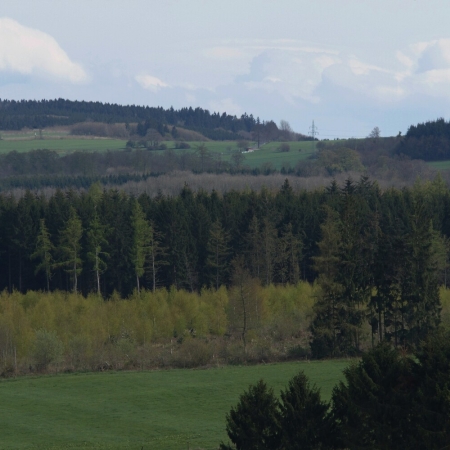 14 D HES VB Platte  1 DSC03509 (2).jpg